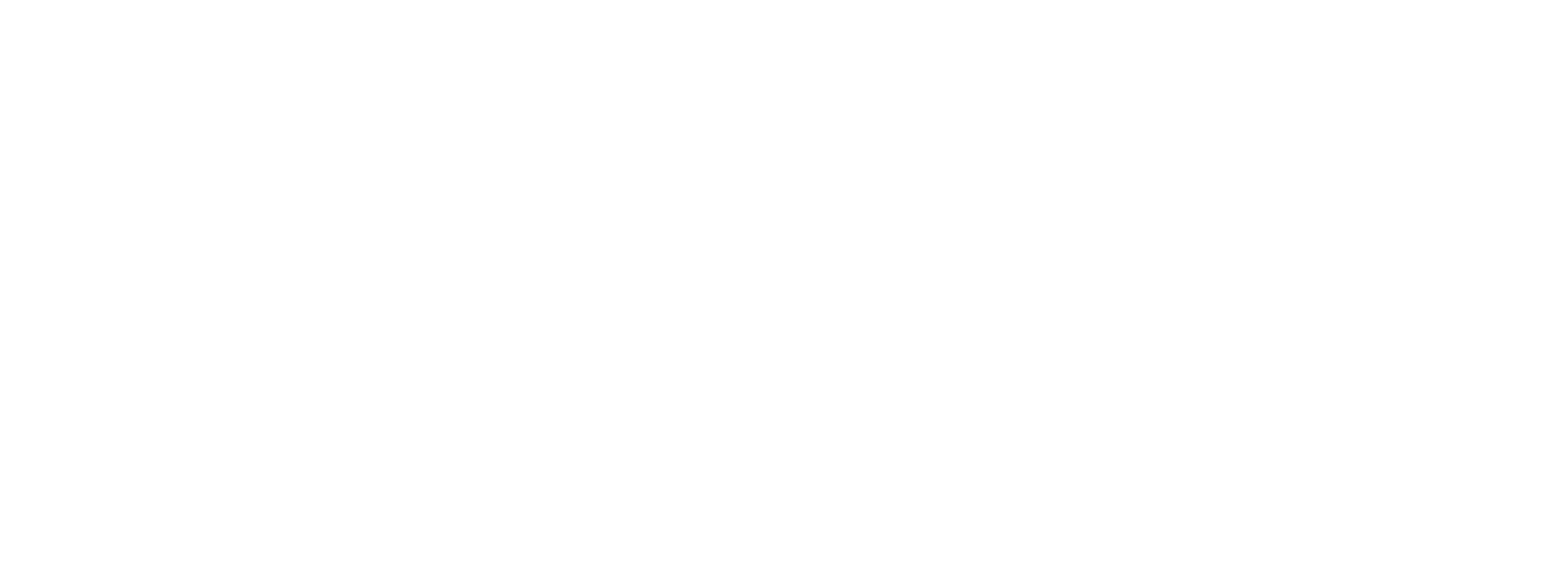 Genis · ciberseguridad